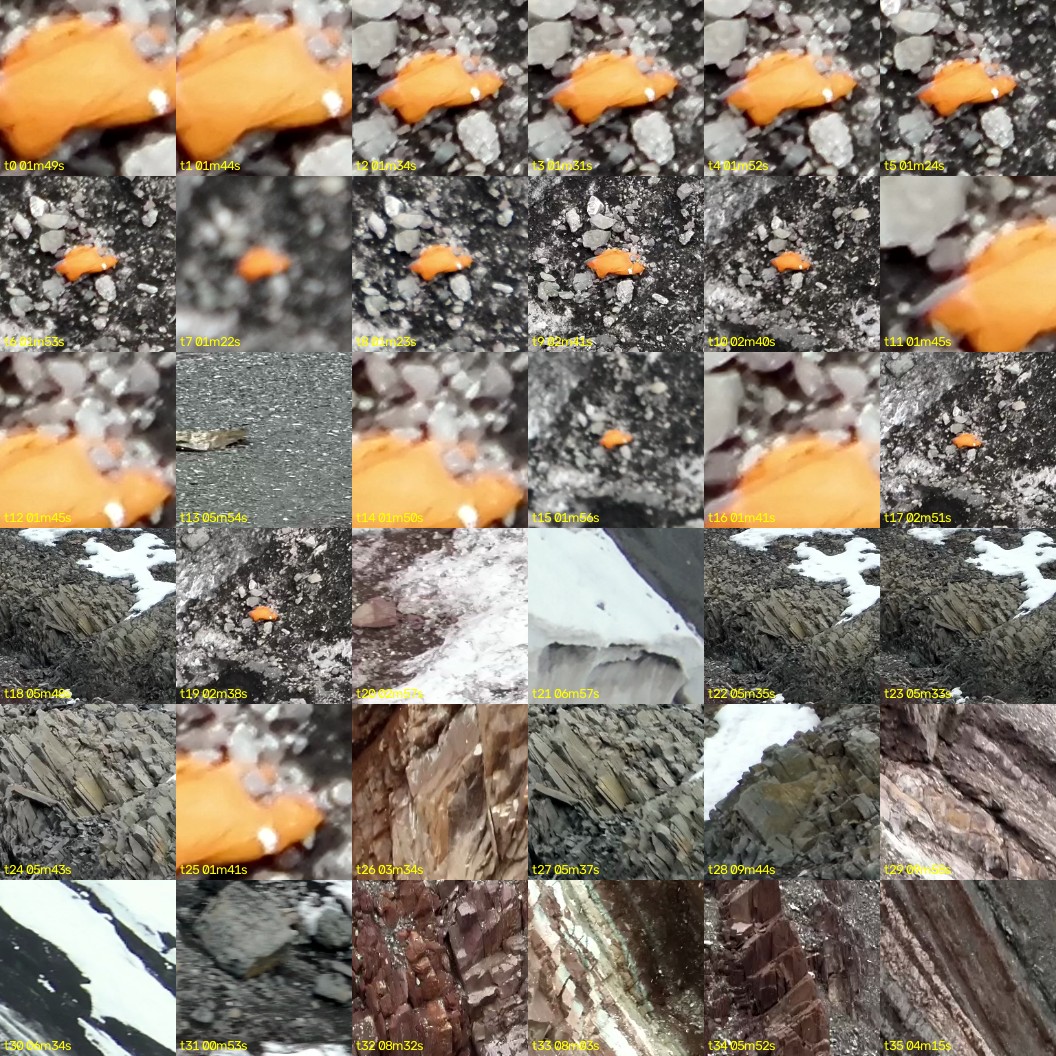 montage_00.jpg