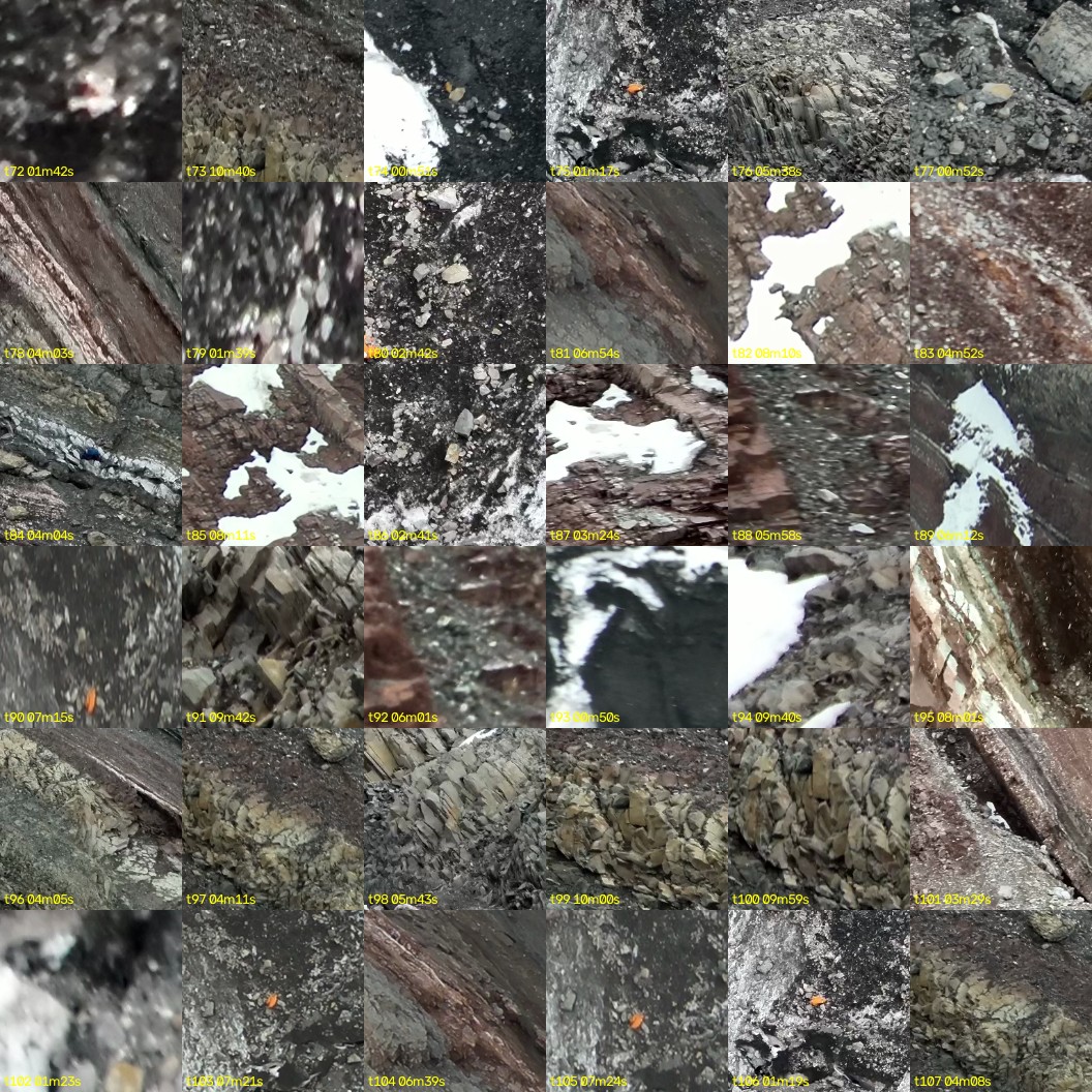 montage_02.jpg