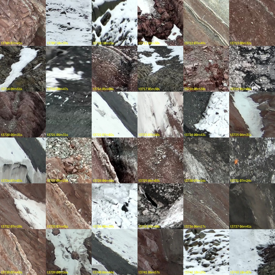 montage_103.jpg