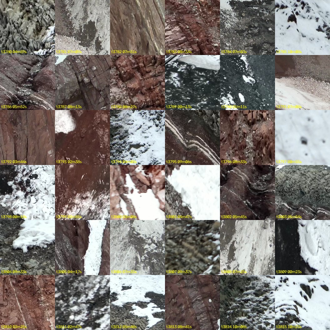 montage_105.jpg