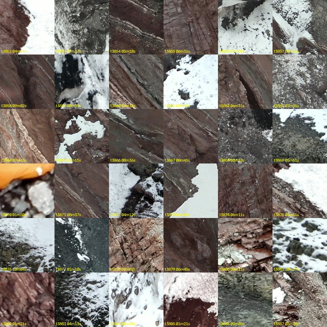montage_107.jpg