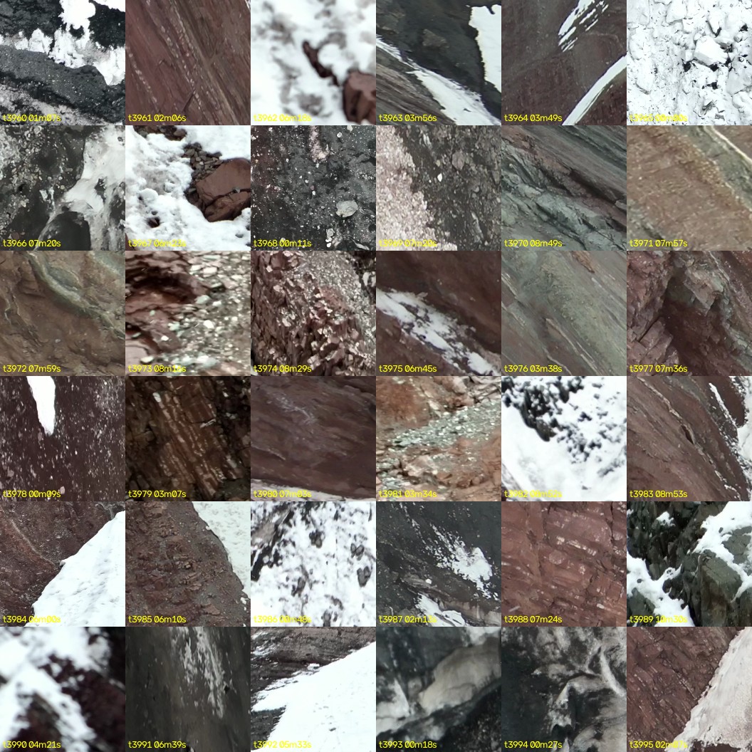 montage_110.jpg