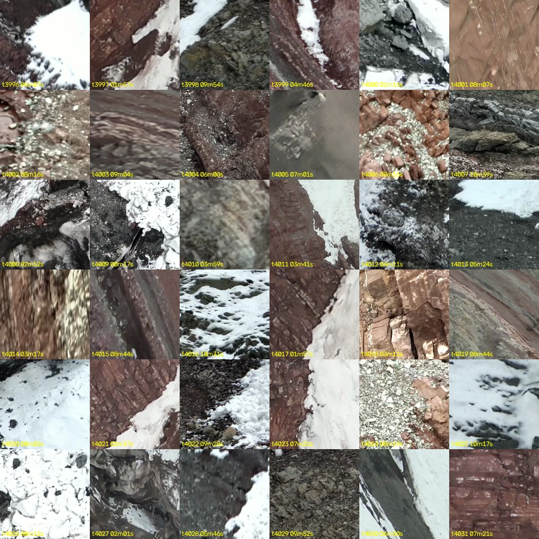 montage_111.jpg