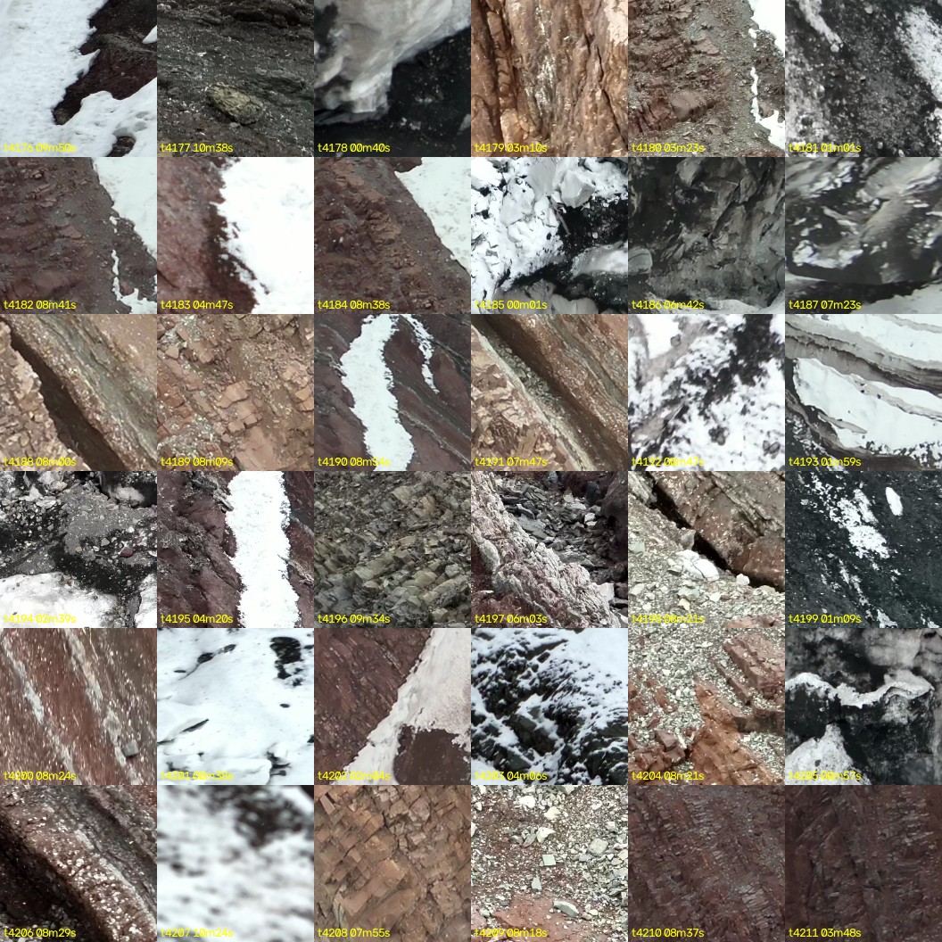 montage_116.jpg