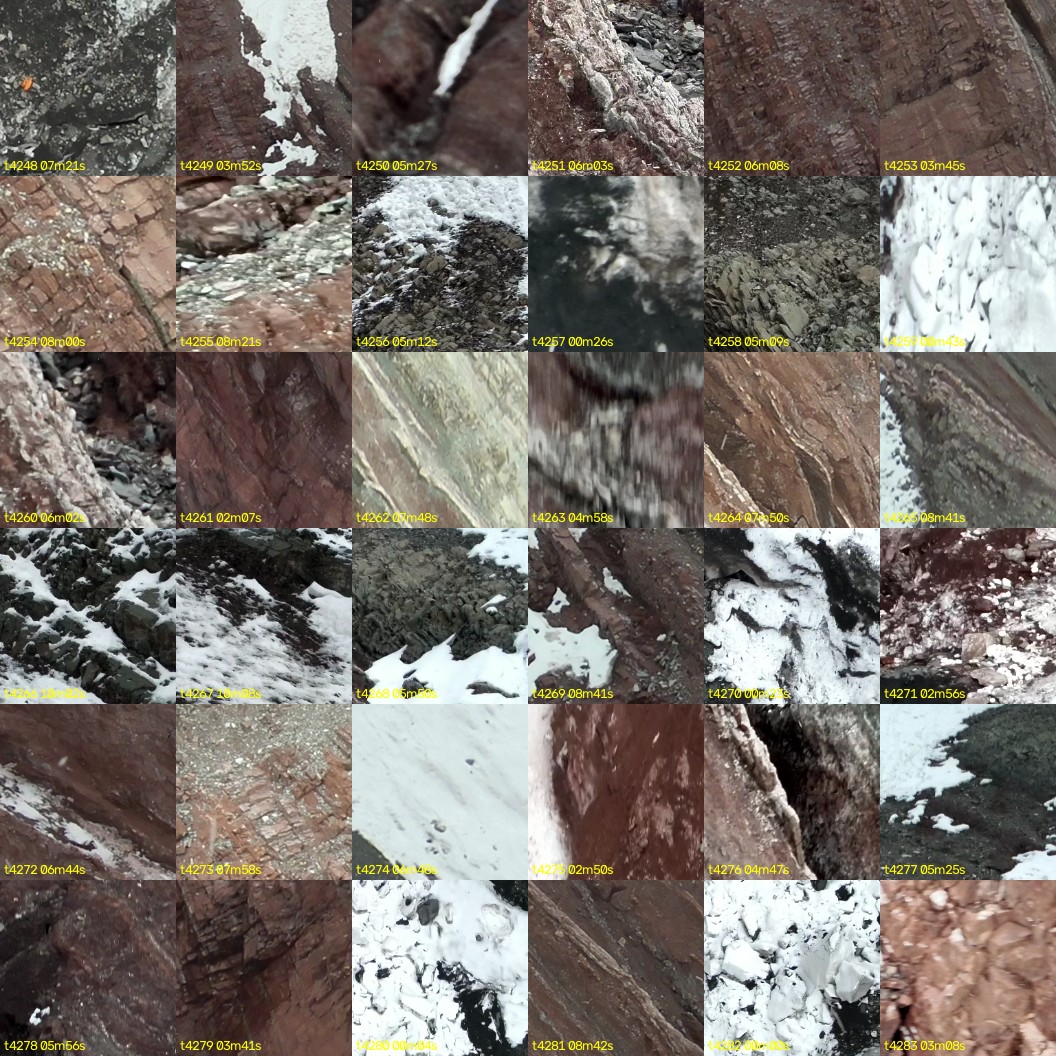 montage_118.jpg