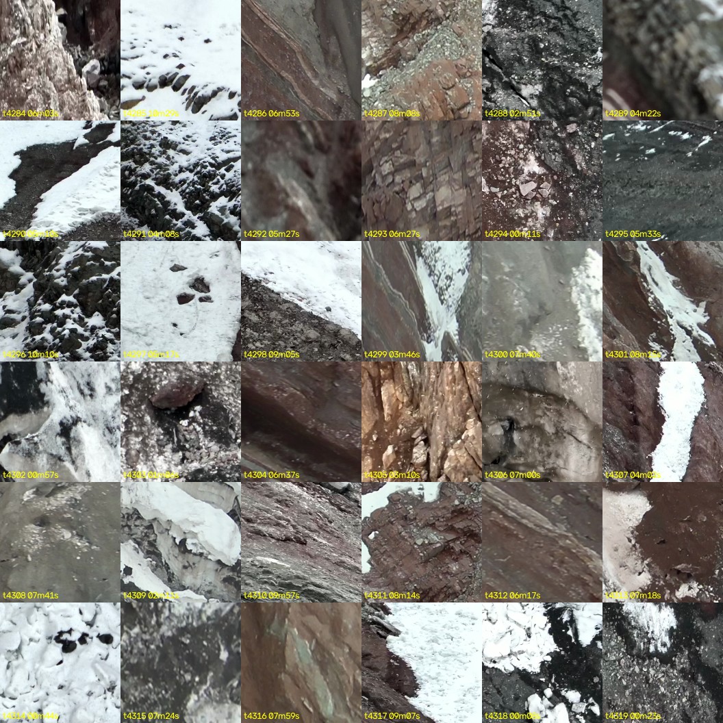 montage_119.jpg