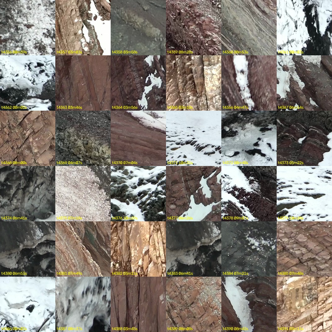 montage_121.jpg