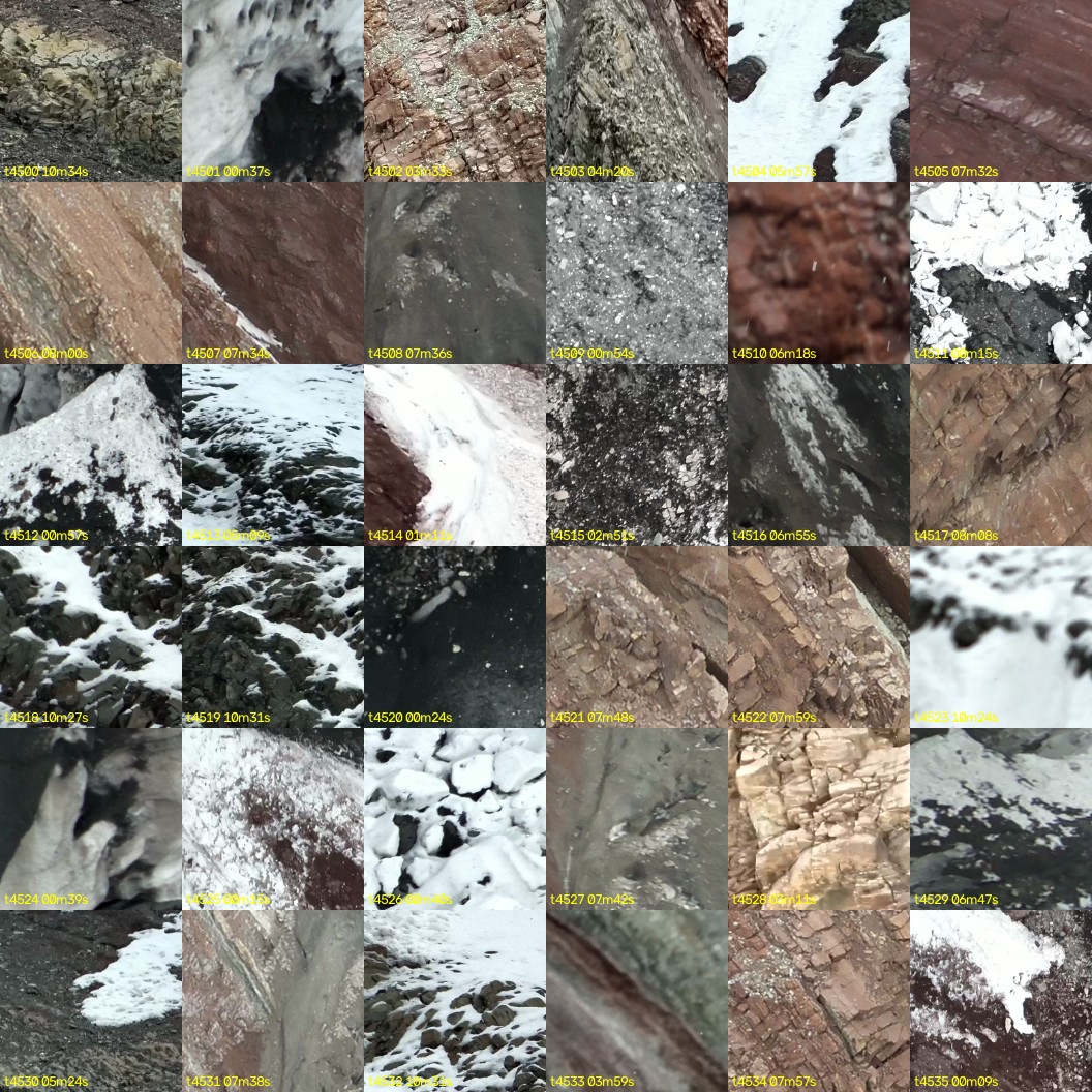 montage_125.jpg
