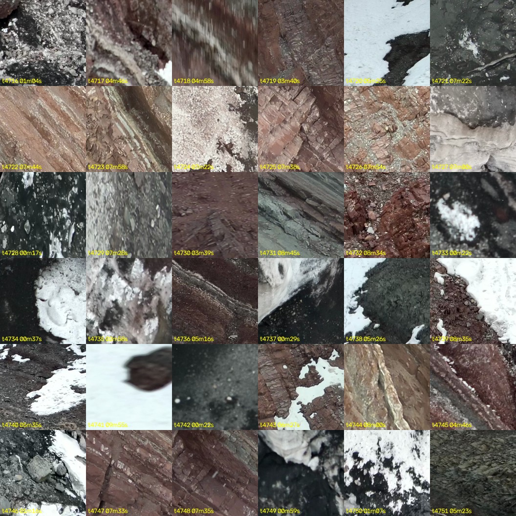 montage_131.jpg