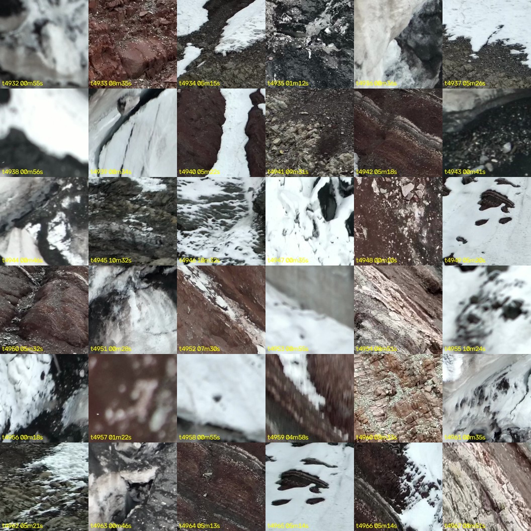 montage_137.jpg