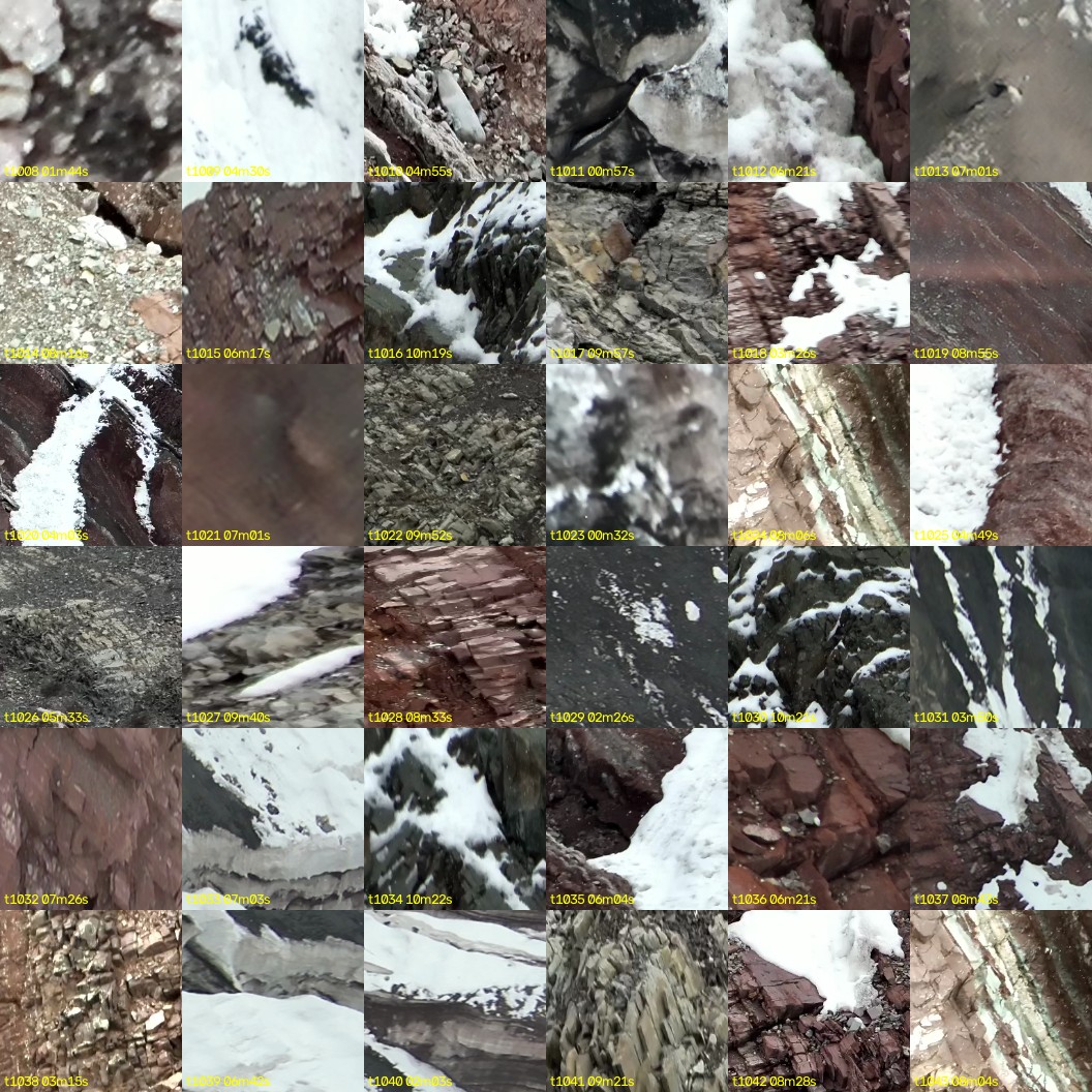 montage_28.jpg