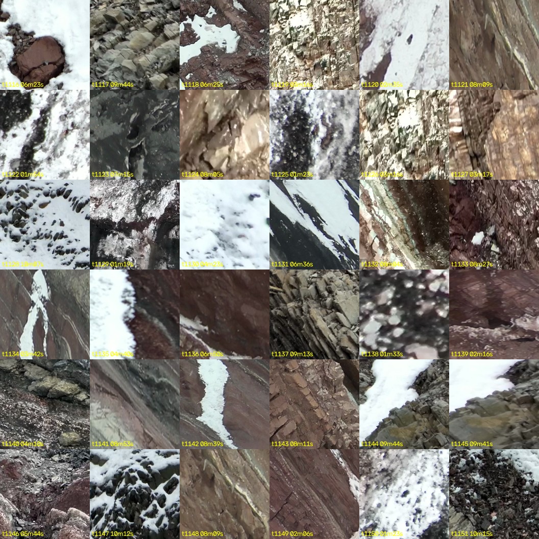 montage_31.jpg