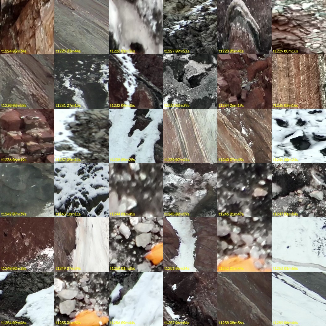 montage_34.jpg