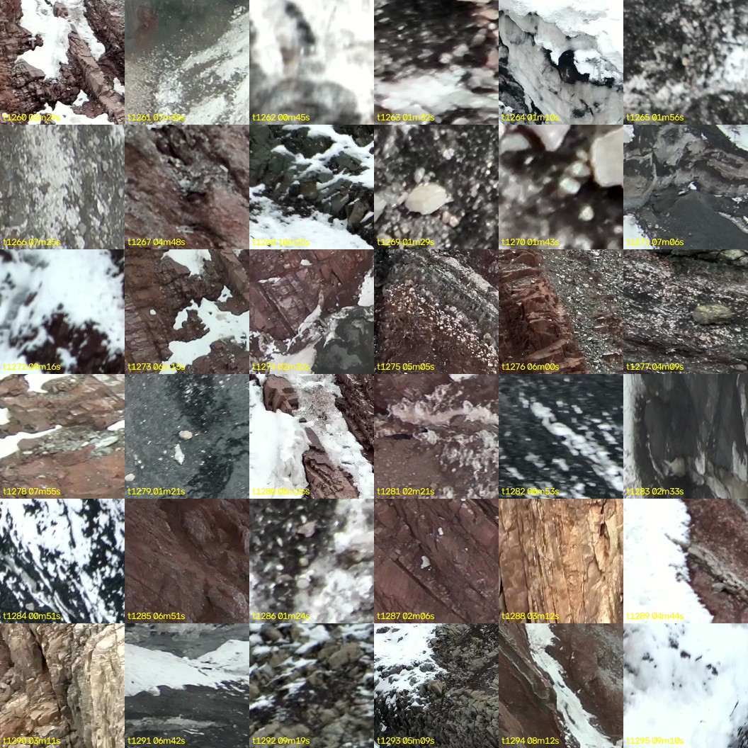 montage_35.jpg
