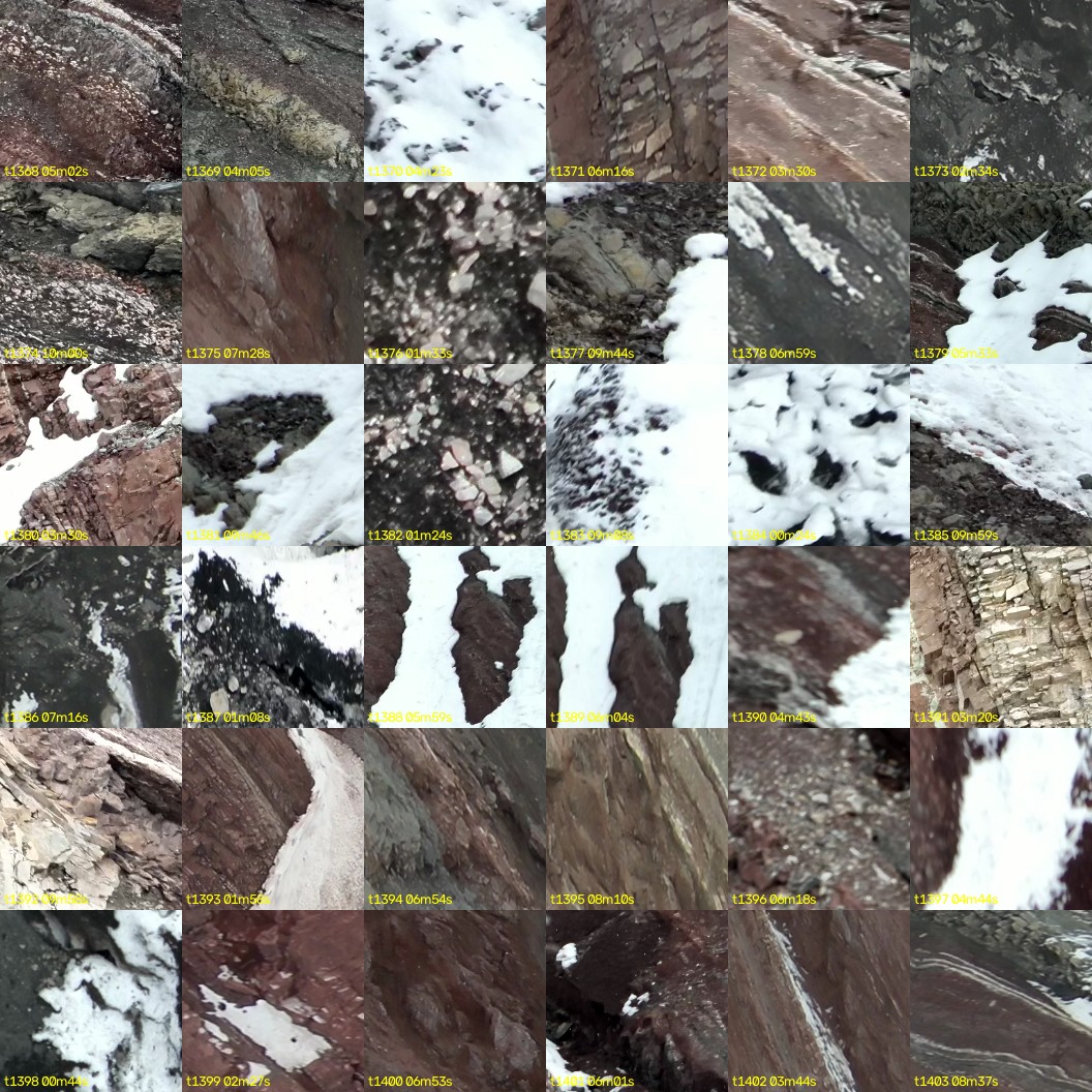 montage_38.jpg