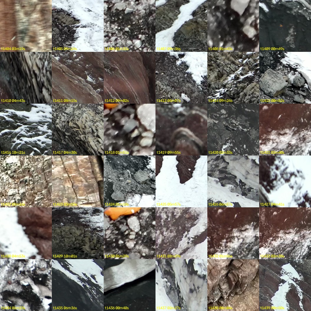 montage_39.jpg