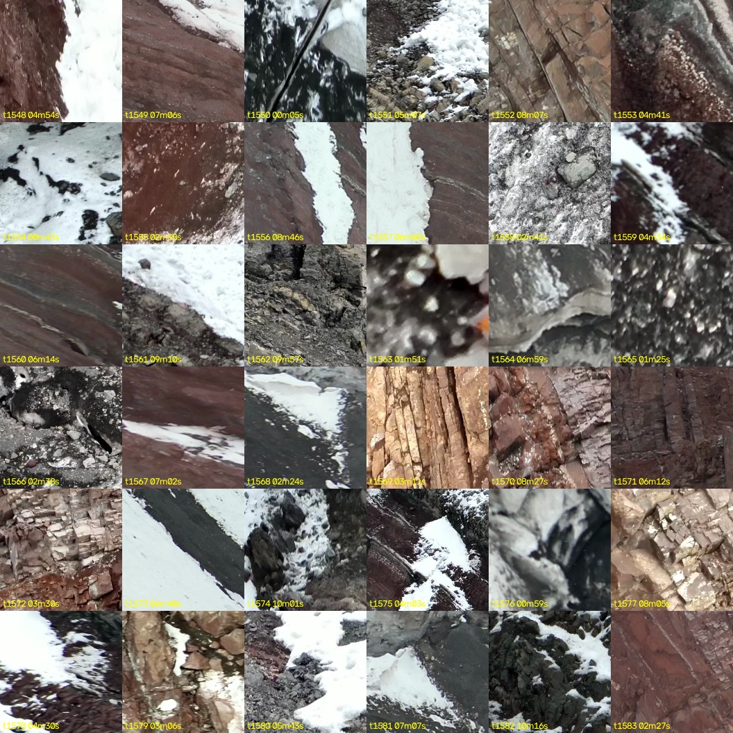 montage_43.jpg