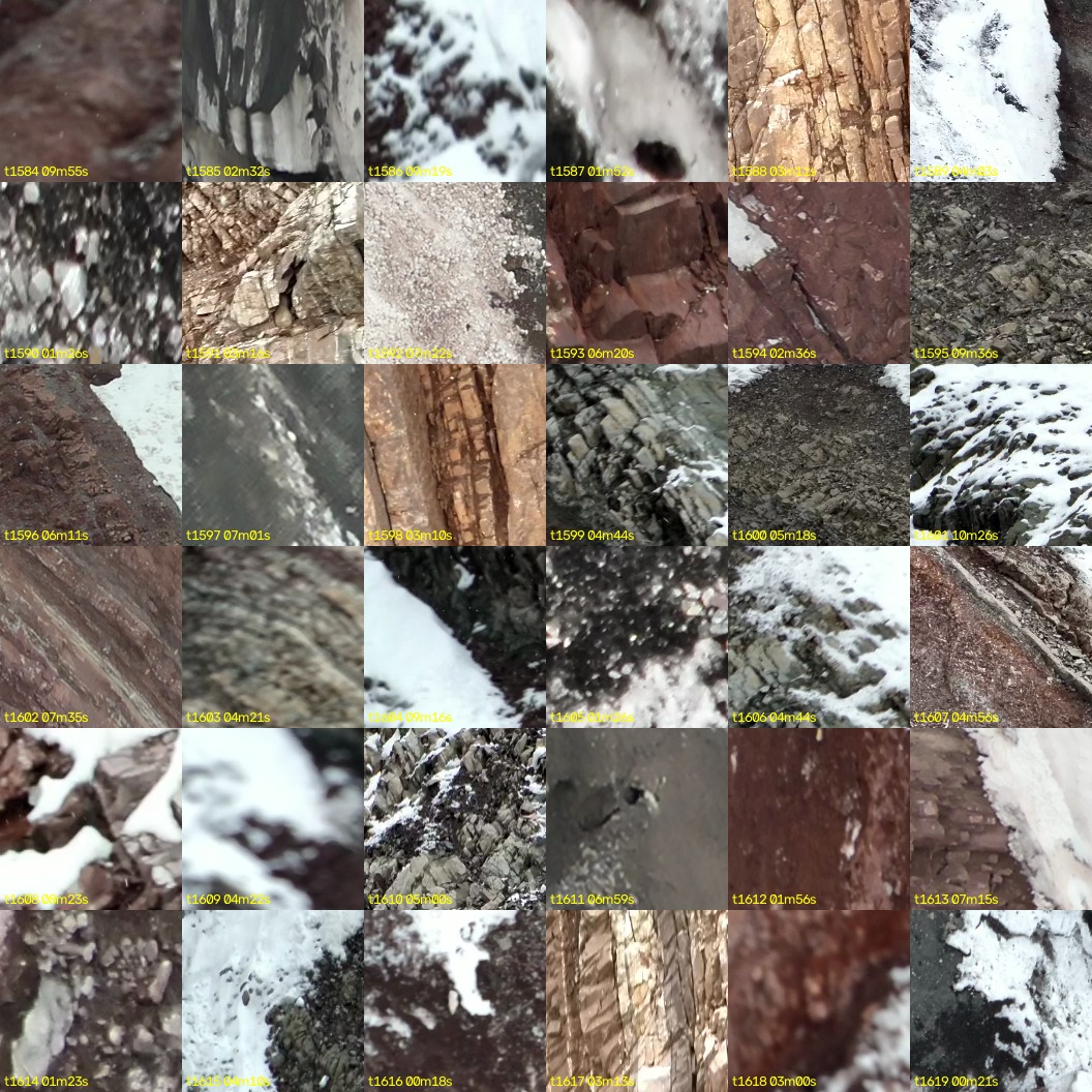 montage_44.jpg