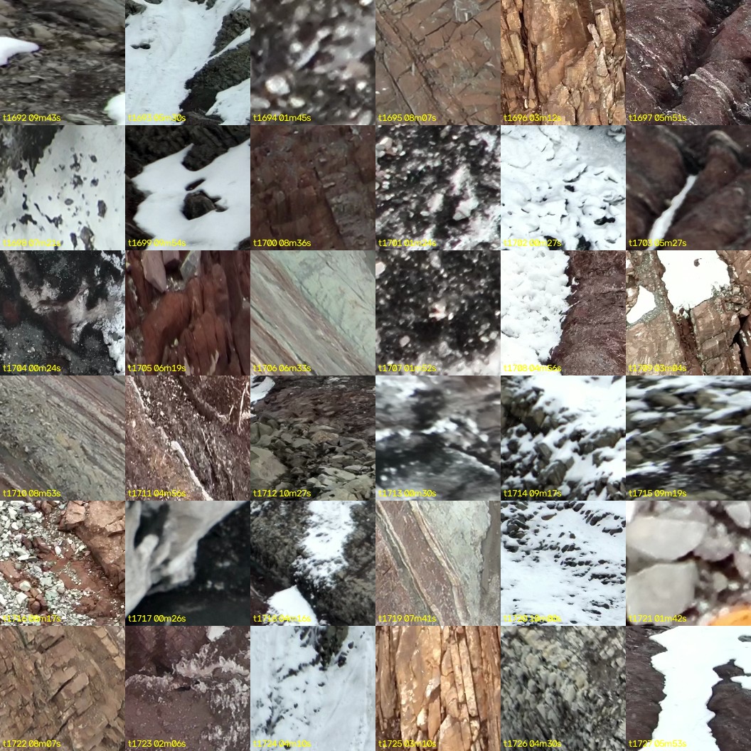 montage_47.jpg