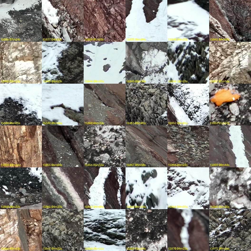 montage_51.jpg