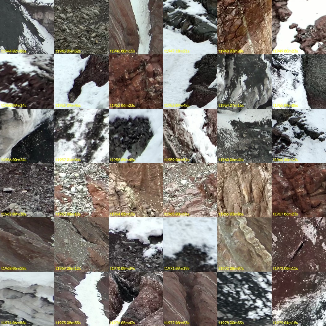 montage_54.jpg