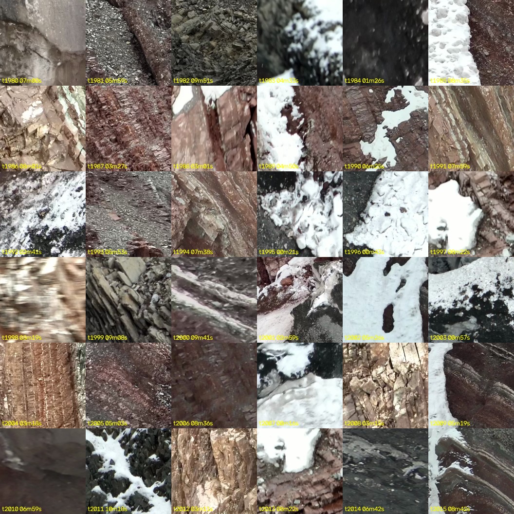 montage_55.jpg