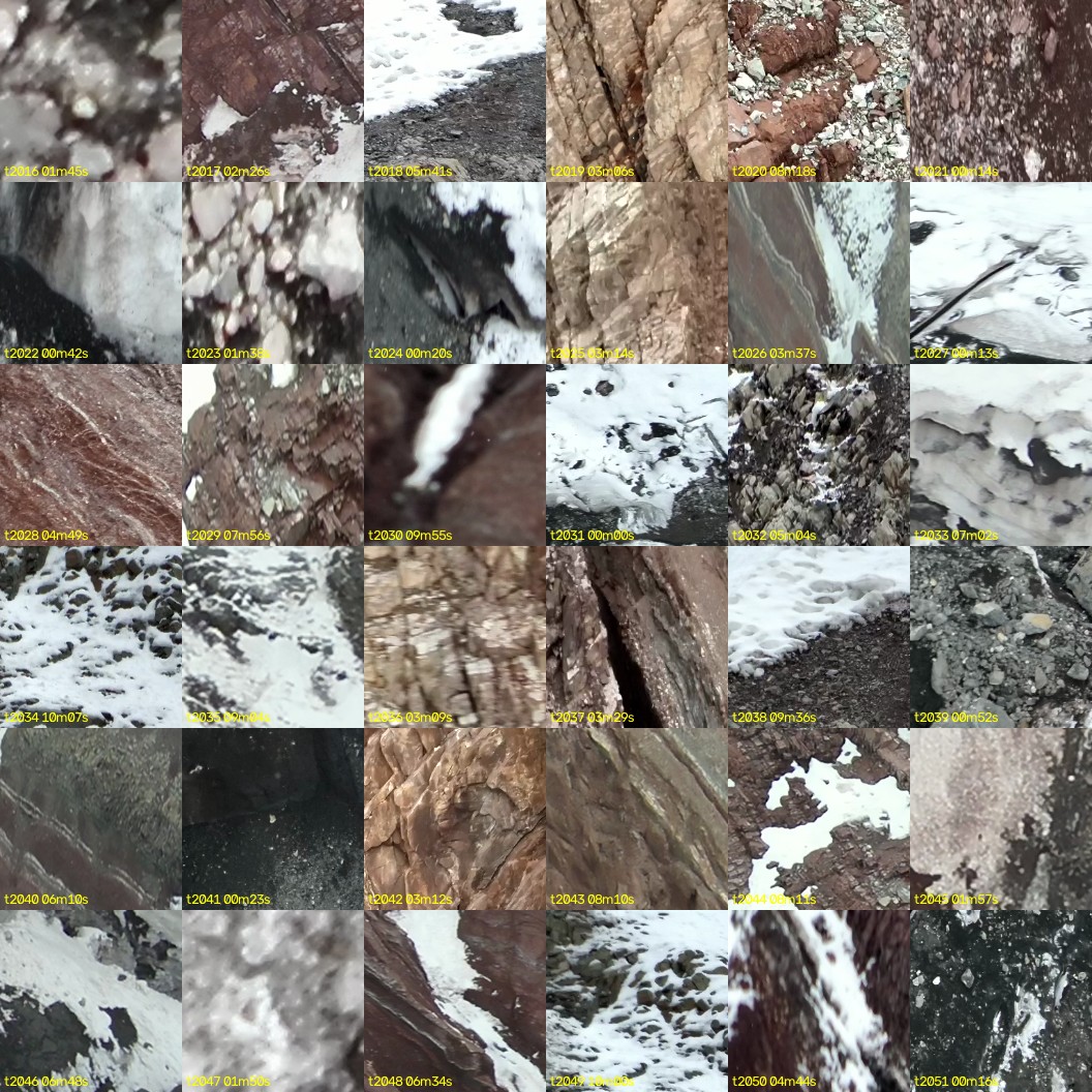 montage_56.jpg