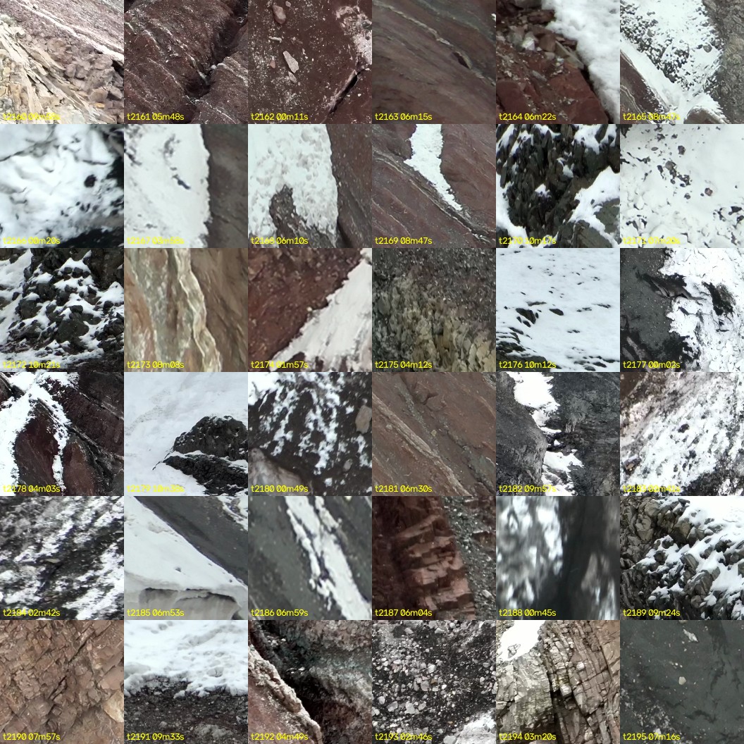 montage_60.jpg