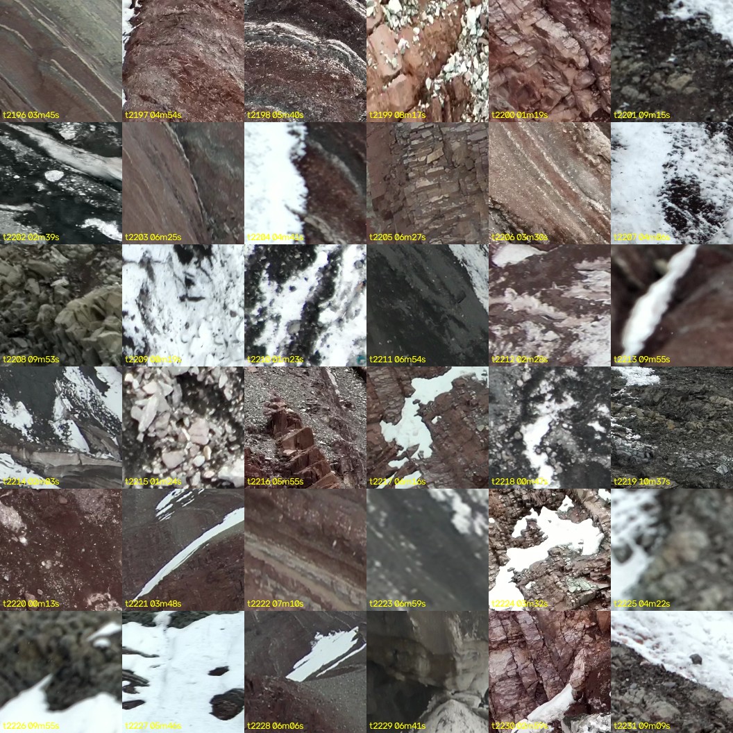 montage_61.jpg