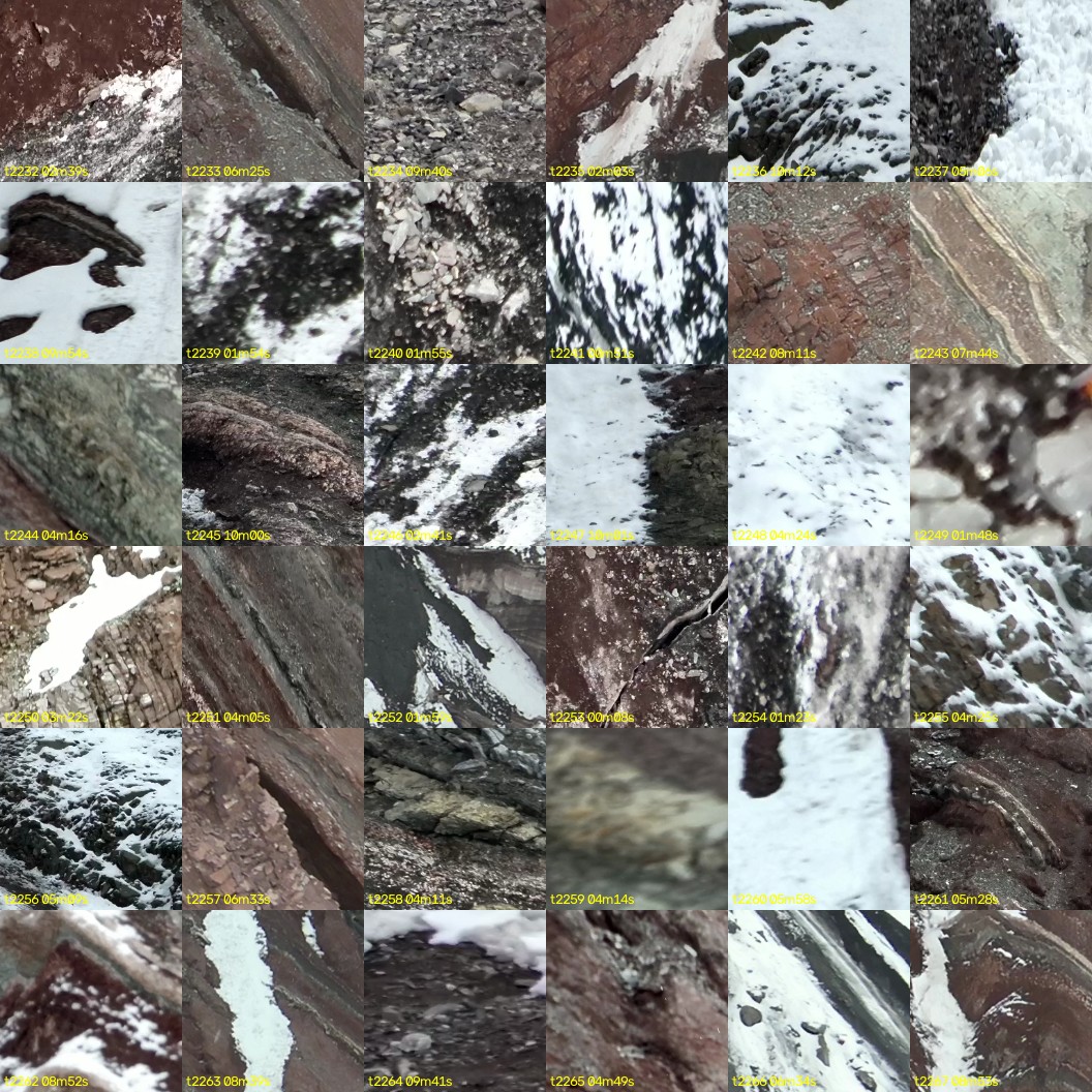 montage_62.jpg
