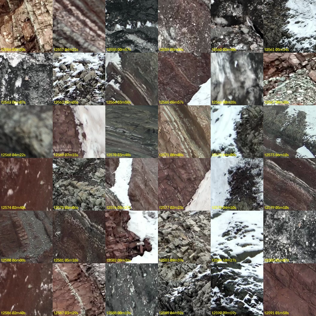 montage_71.jpg