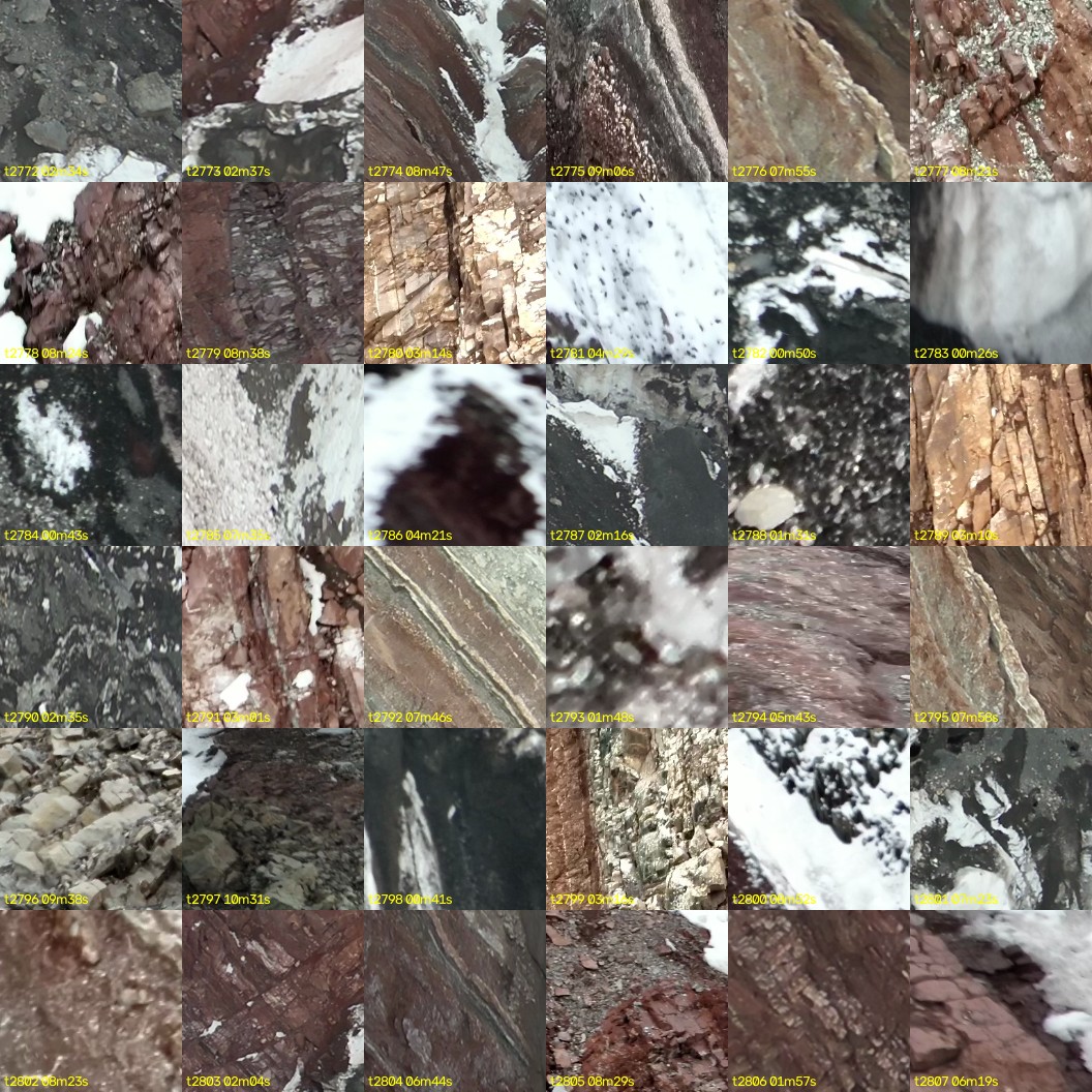 montage_77.jpg