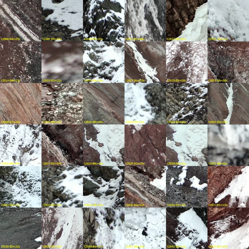 montage_78.jpg