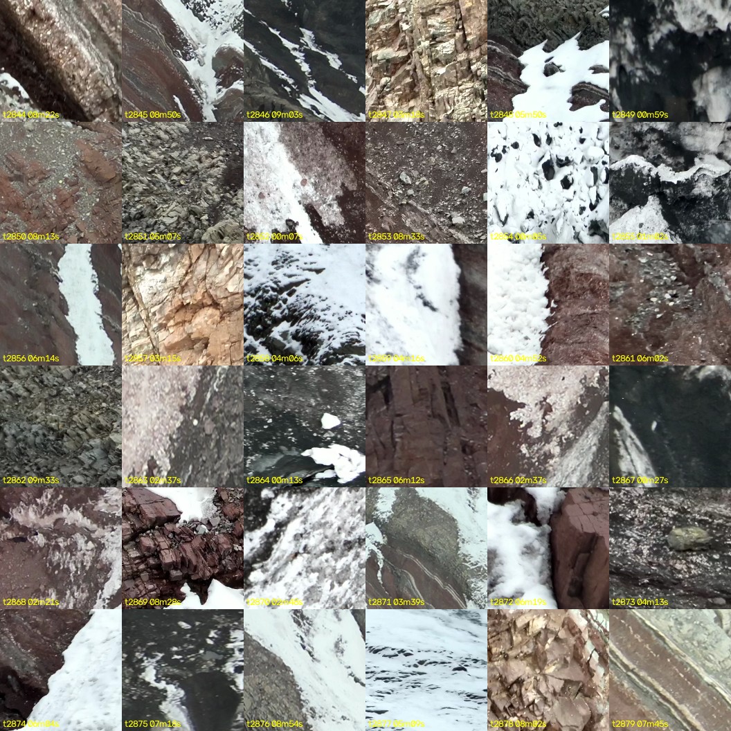 montage_79.jpg
