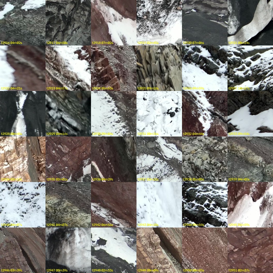 montage_81.jpg