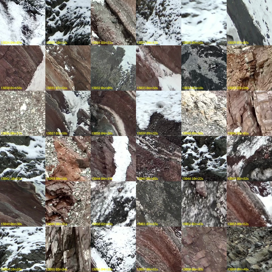 montage_84.jpg