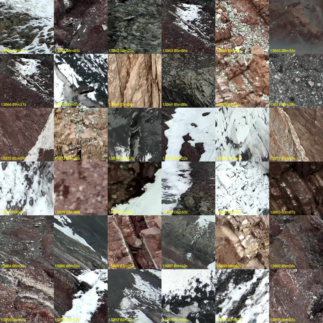 montage_85.jpg