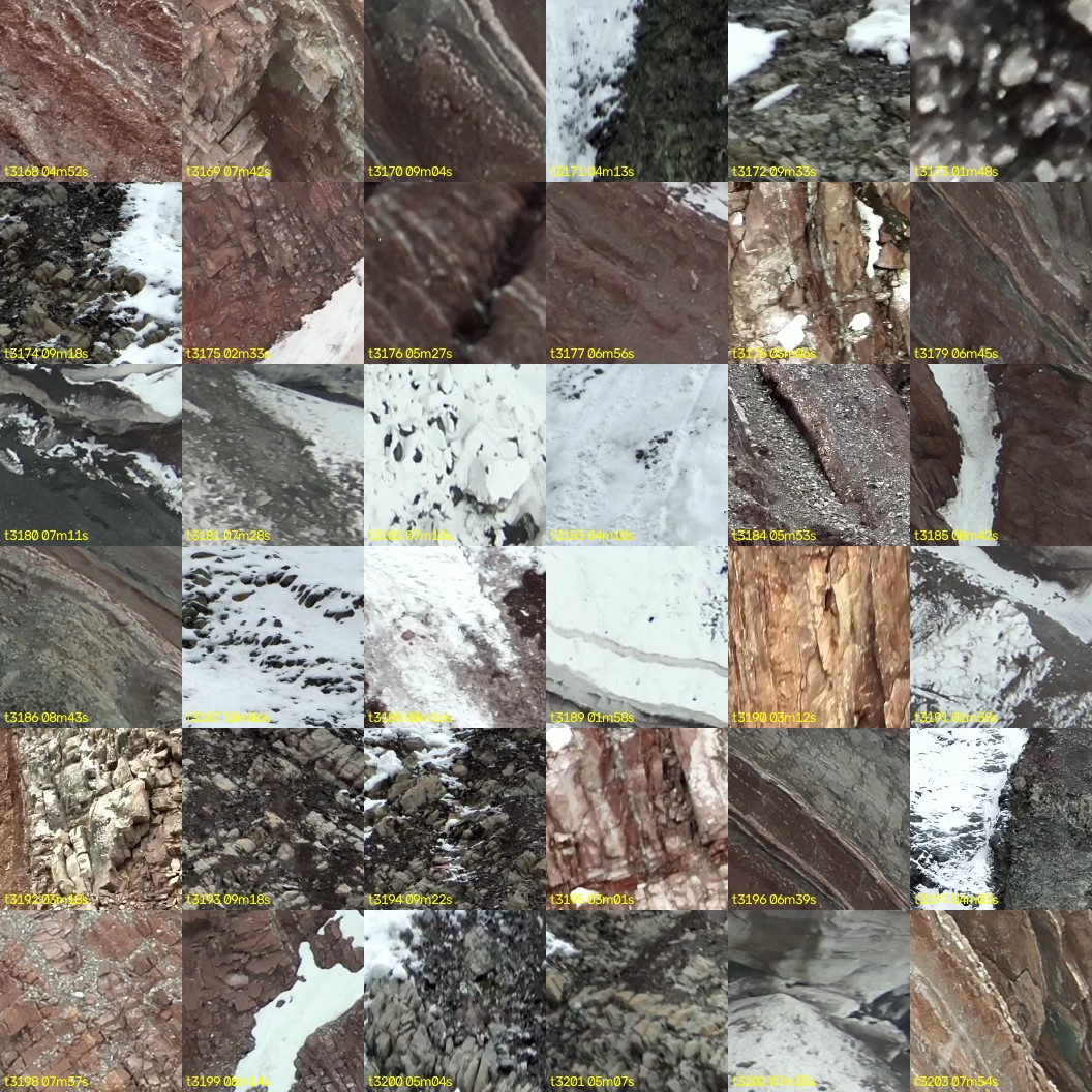 montage_88.jpg