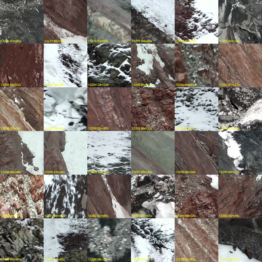 montage_91.jpg