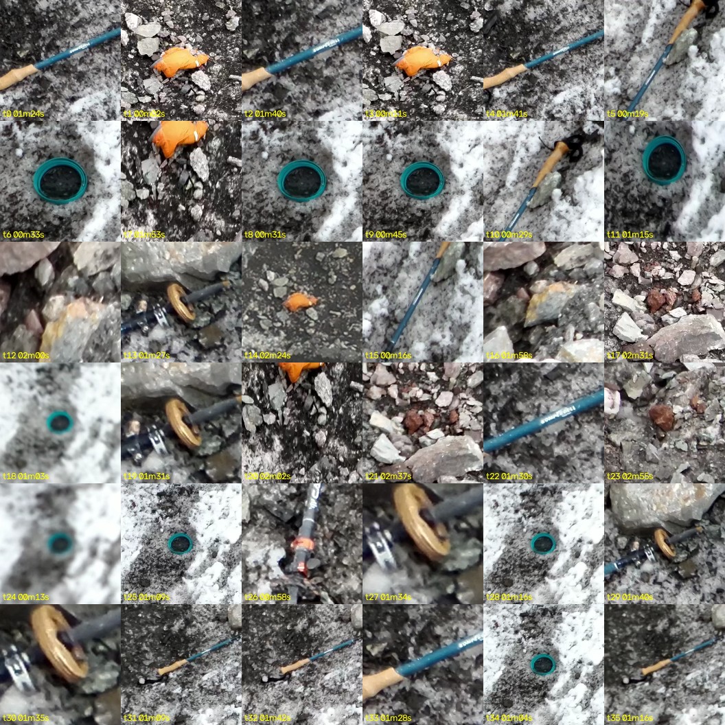montage_00.jpg