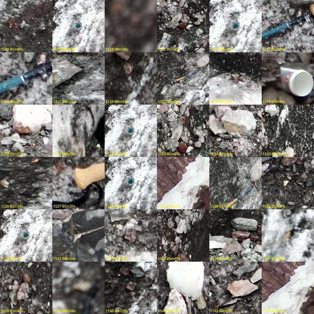 montage_03.jpg