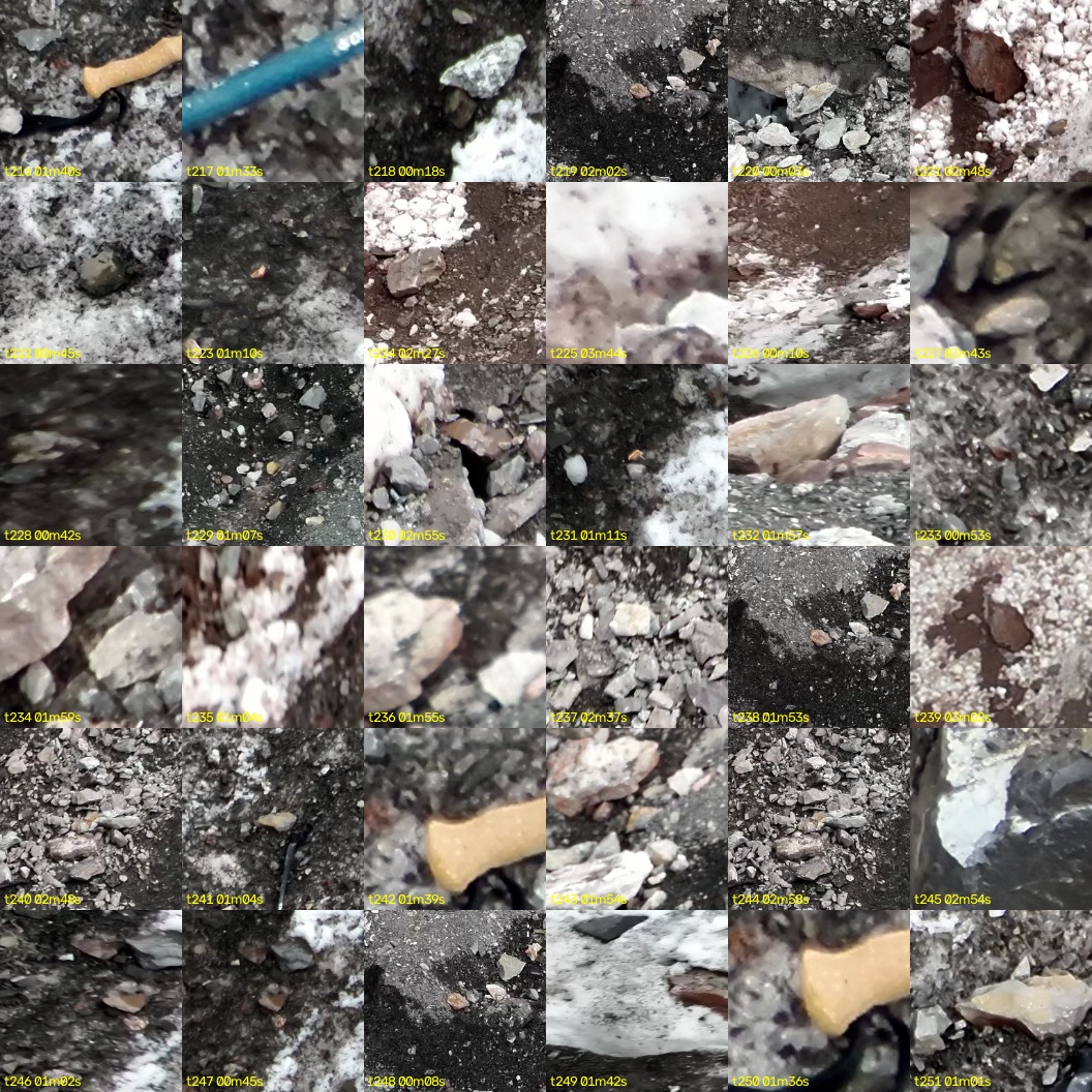 montage_06.jpg