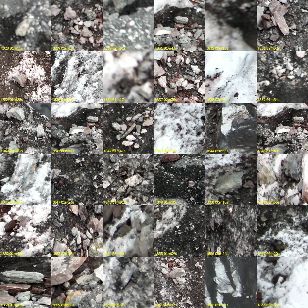 montage_23.jpg