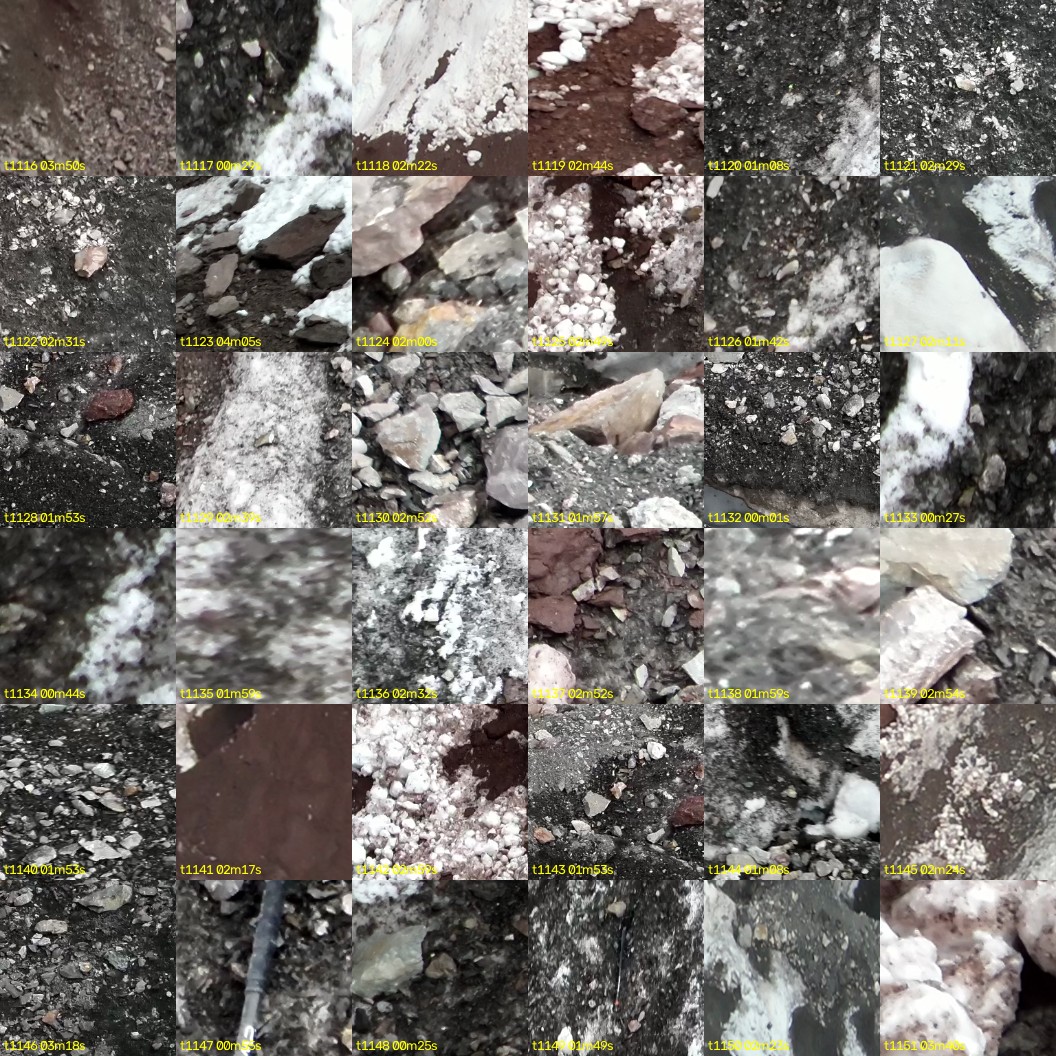 montage_31.jpg