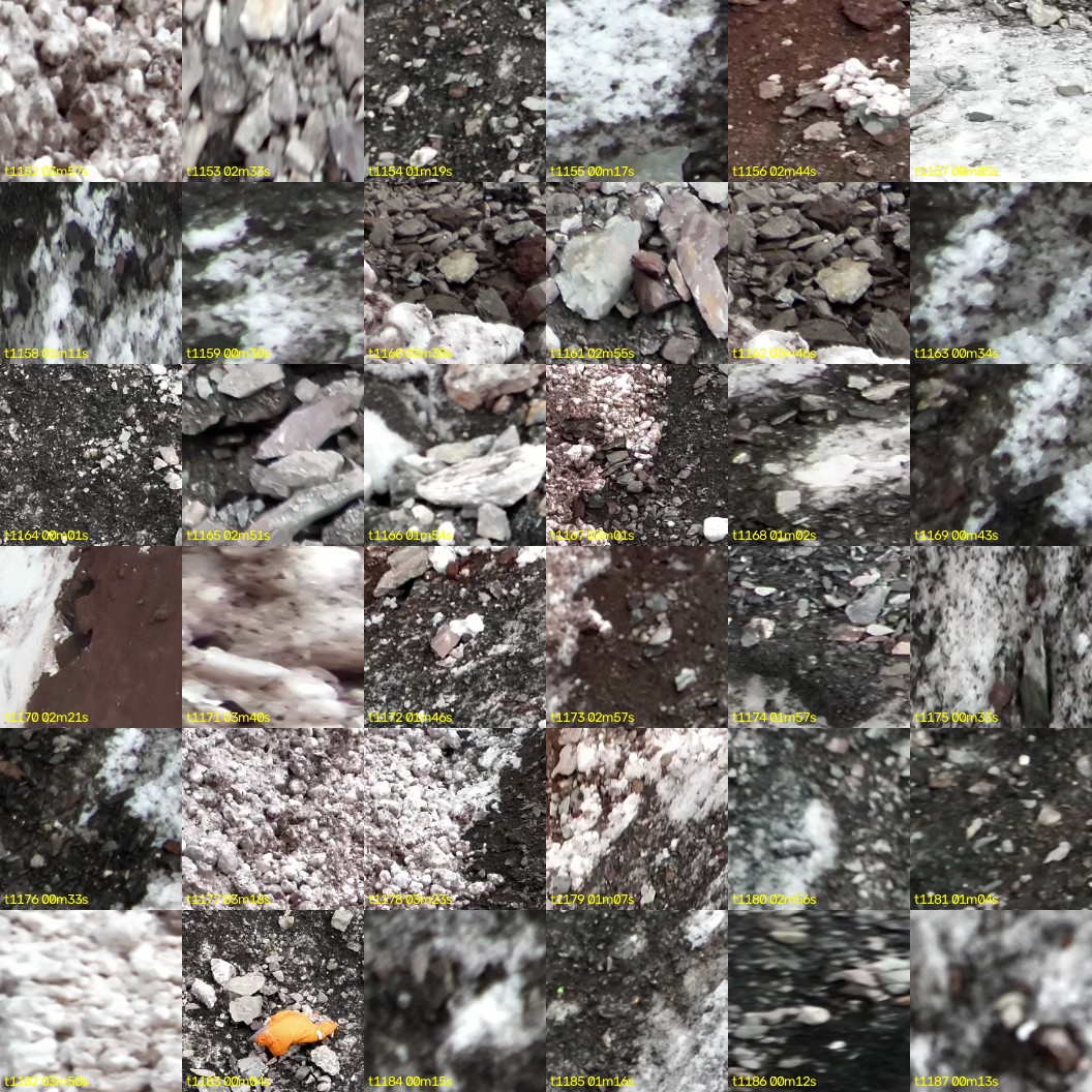 montage_32.jpg