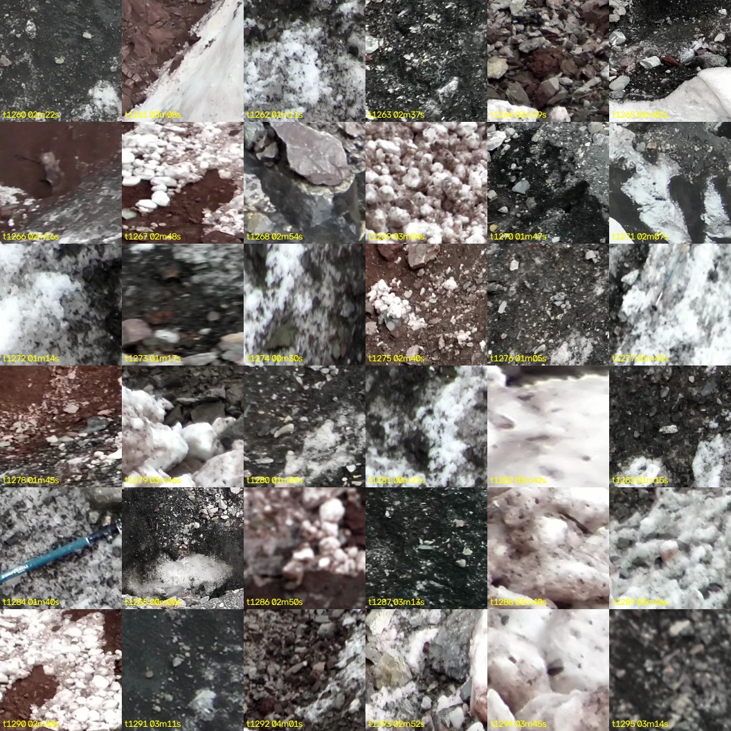 montage_35.jpg