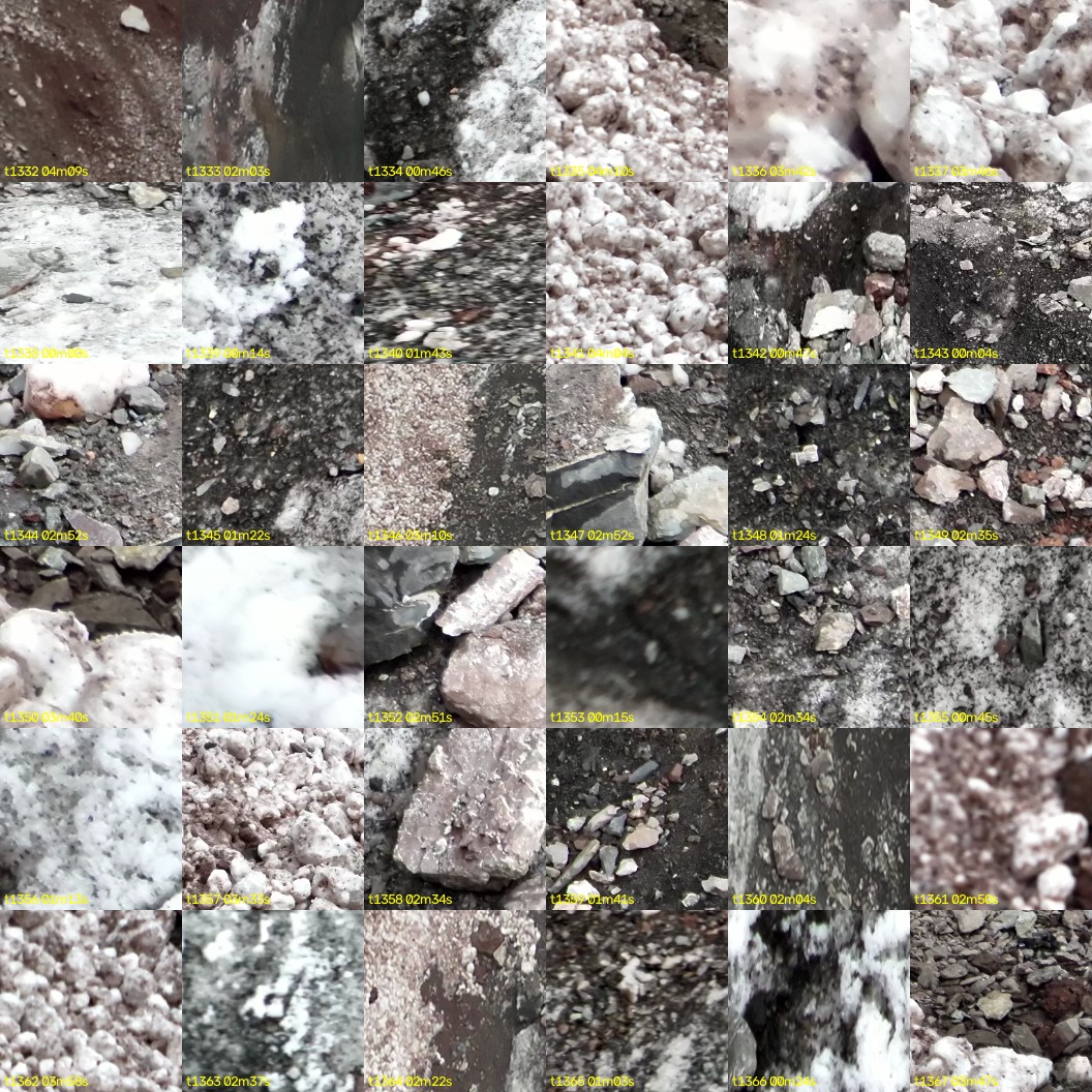 montage_37.jpg