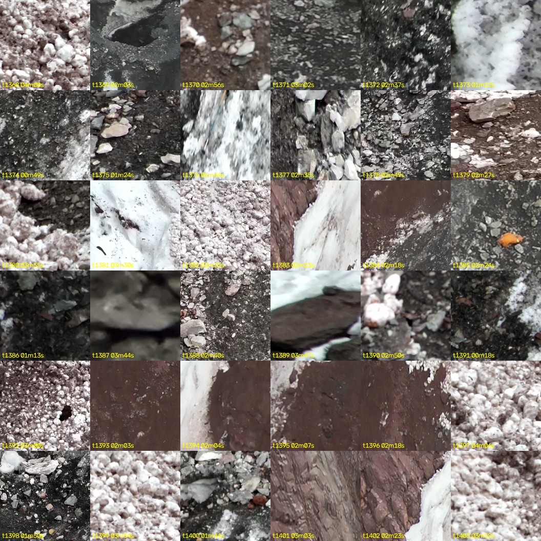 montage_38.jpg