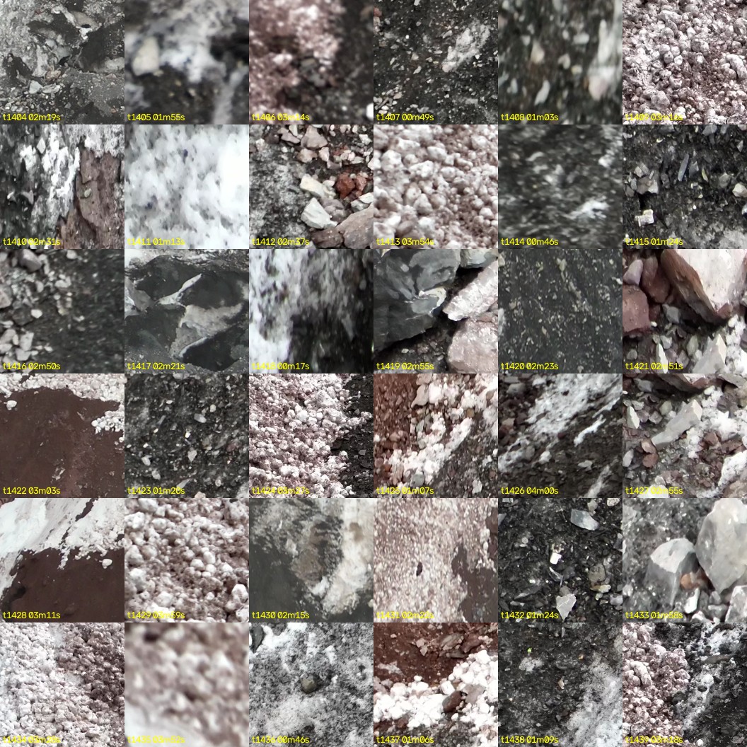 montage_39.jpg