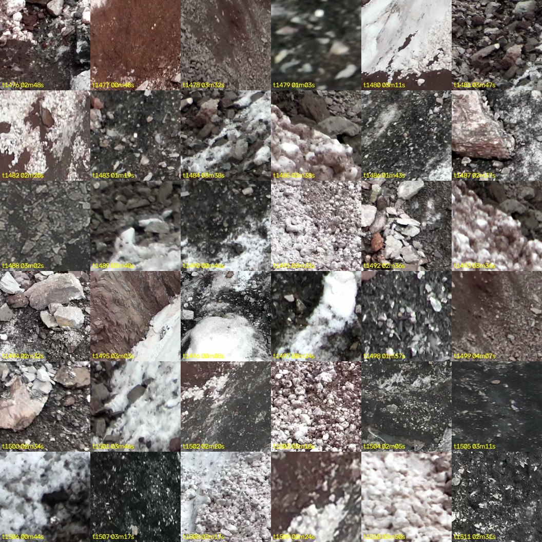 montage_41.jpg